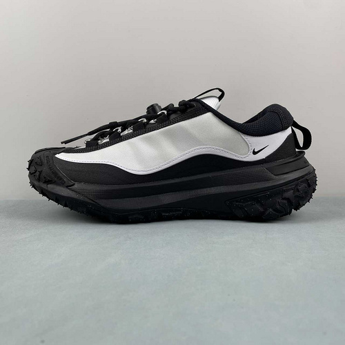 Nike ACG Mountain Fly 2 Low  FZ3311-101 36-46